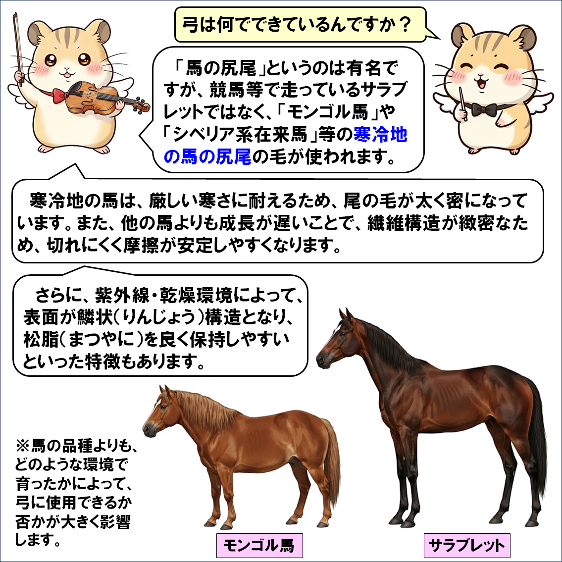 楽器解説４コマ漫画、擦弦楽器の弓