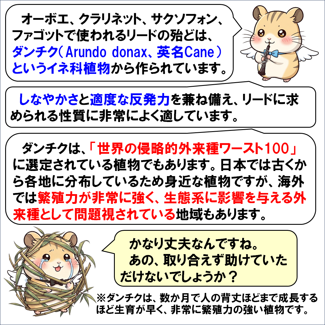 楽器解説４コマ漫画、リード
